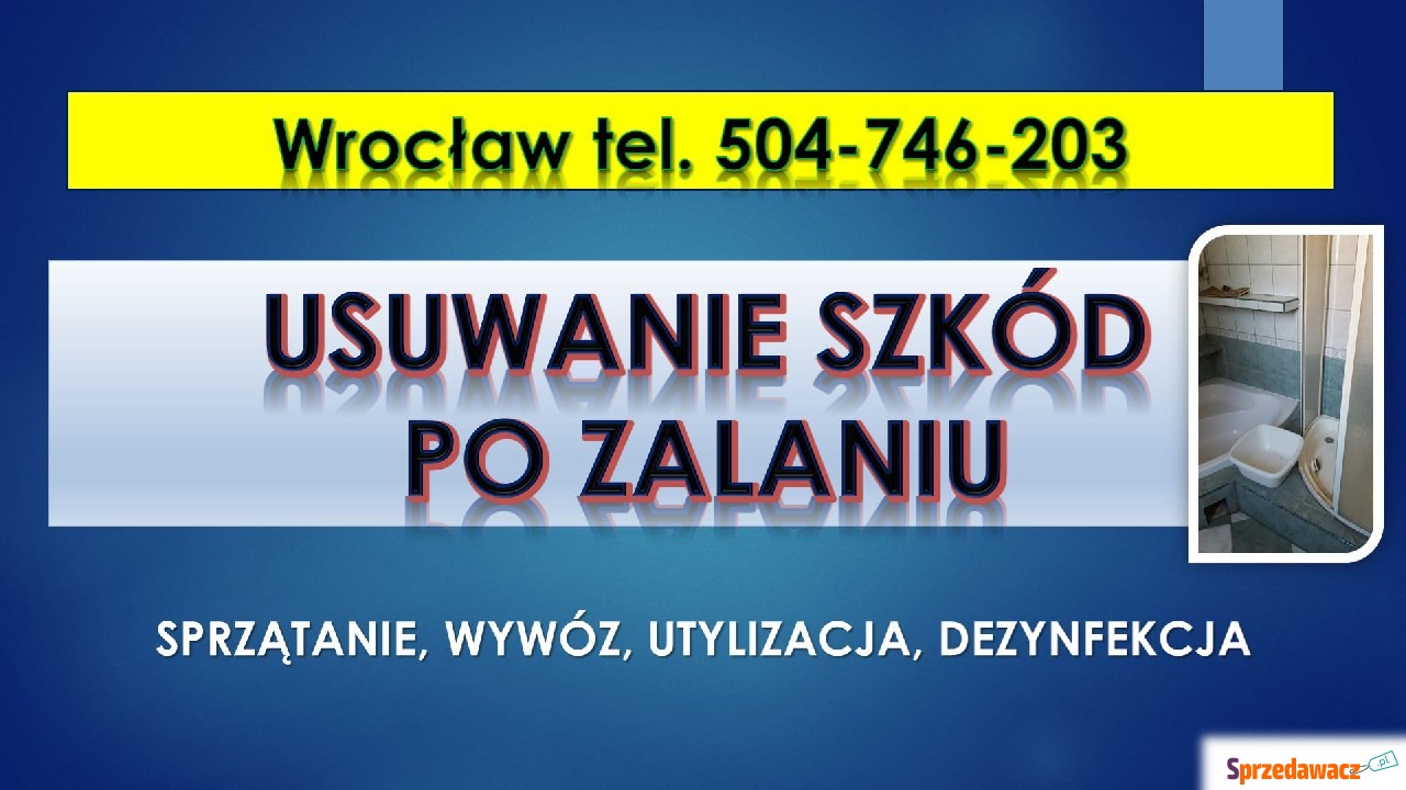 Usuwanie szkód po zalaniu, cennik...