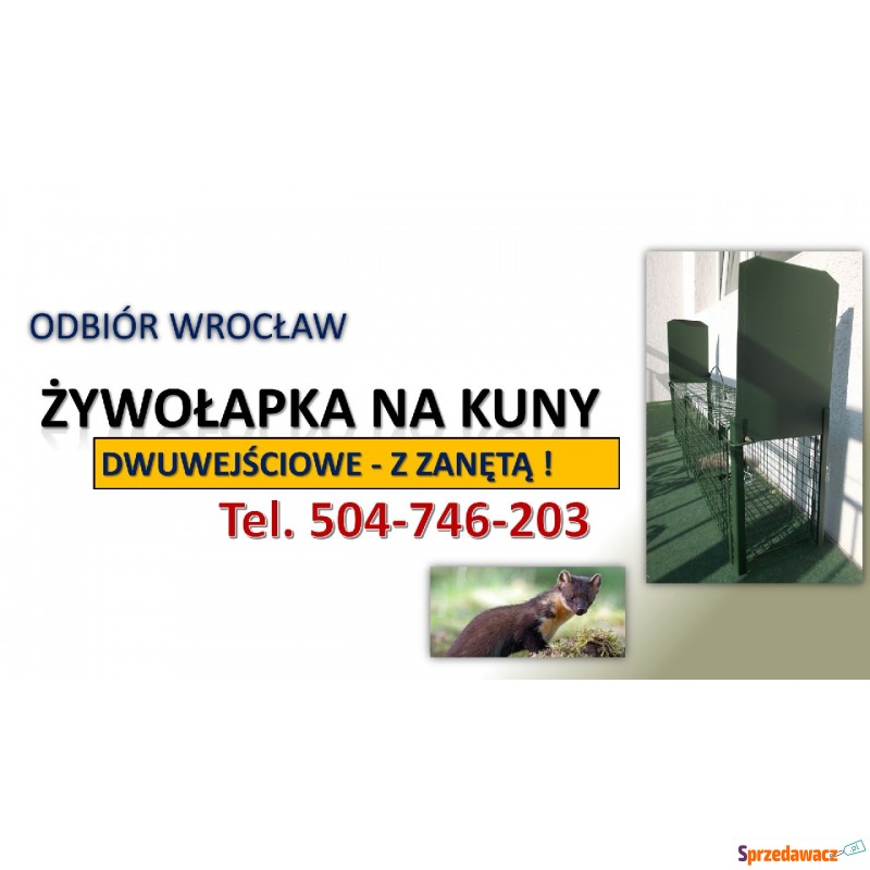 Żywołapka na kuny, cena, tel. 504-746-203, Od... - Pozostałe artykuły do... - Wrocław