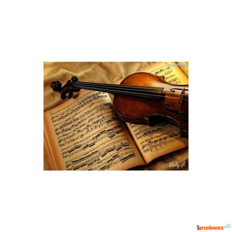 nauka gry na skrzypcach - Pozostałe w dziale Edukacja - Rzeszów
