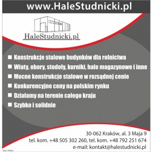 konstrukcja stalowa konstrukcje stalowe montaz... - Usługi remontowo-budowlane - Kraków - zdjęcie 4