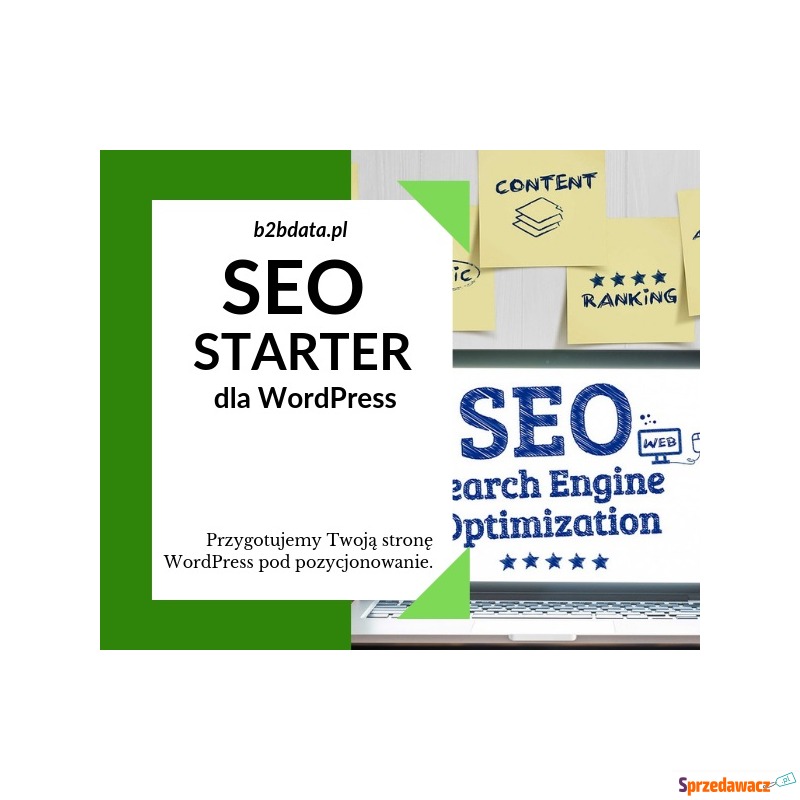 SEO Starter Dla WordPress