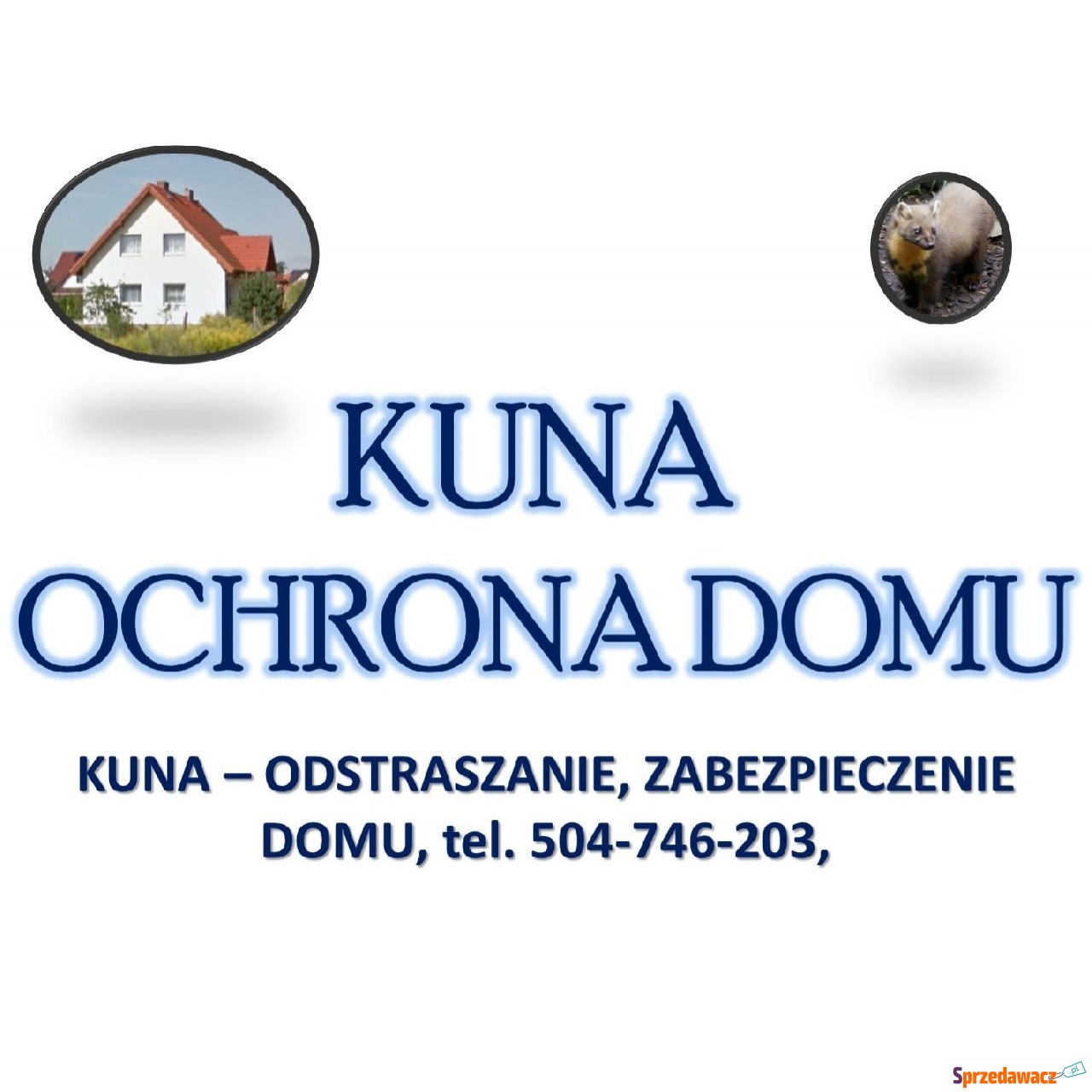 Pastuch na kuny. Tel. 504-746-203....