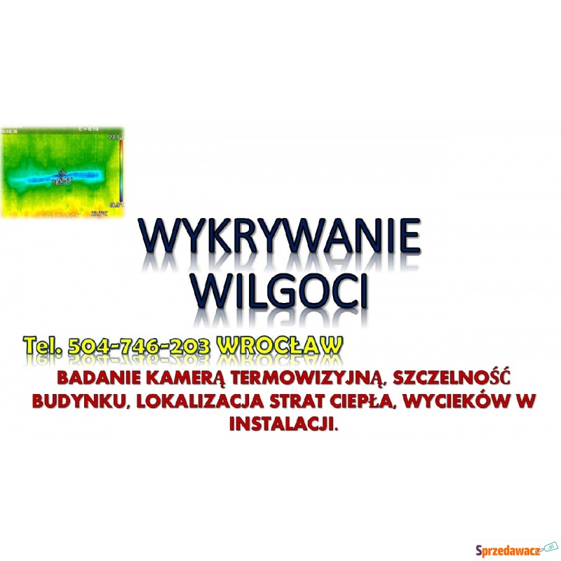Wykrywanie, likwidacja wilgoci, cena tel. 504... - Usługi remontowo-budowlane - Wrocław